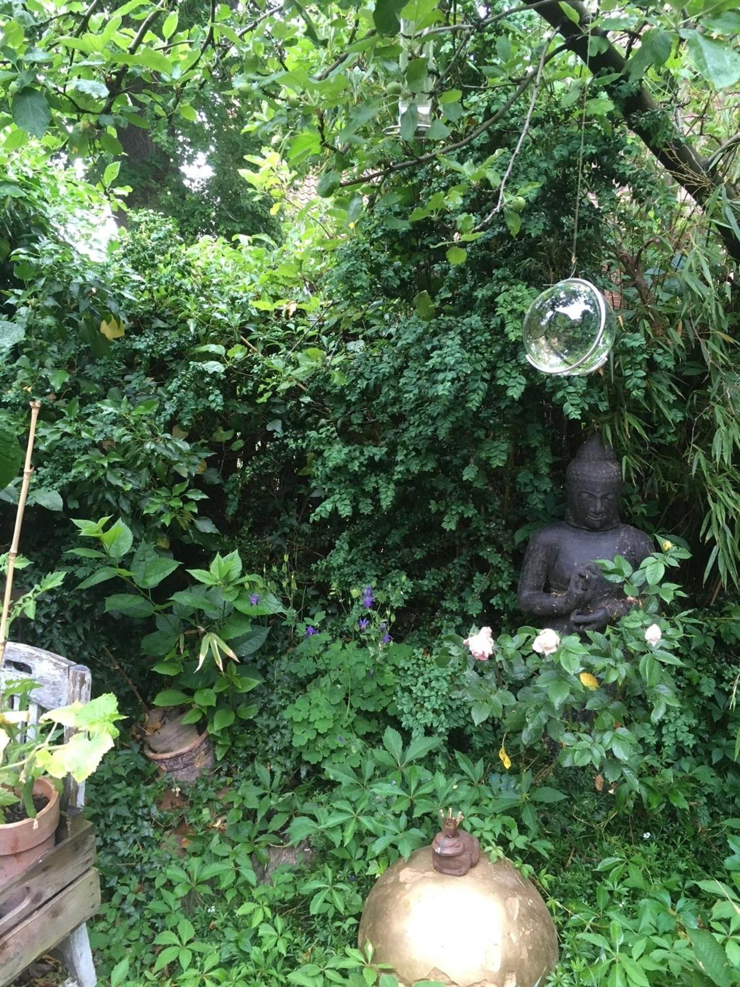 Grosse Hobbithoehle Mit Gemeinschaftsgarten Neustadt am Rübenberge Buitenkant foto